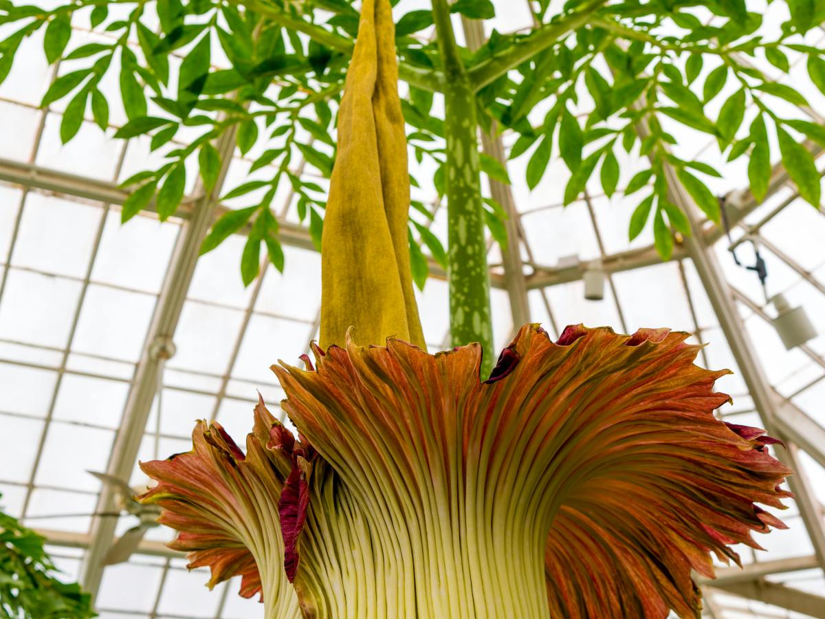 Play a Game With Us and Win a&nbsp;Prize!