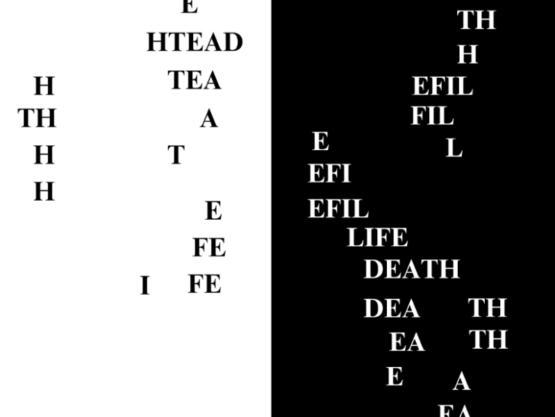 FREE BOOK OF THE QUARTER: white&nbsp;noir