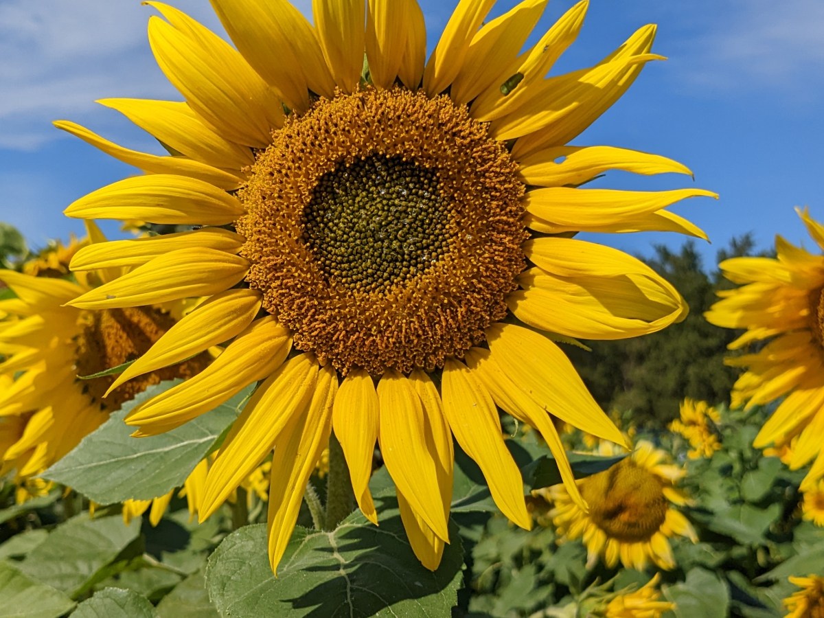 Making Moments Count