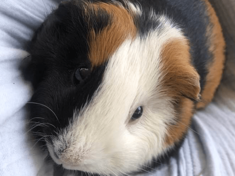 The Blessings of Ritual and&nbsp;Routine