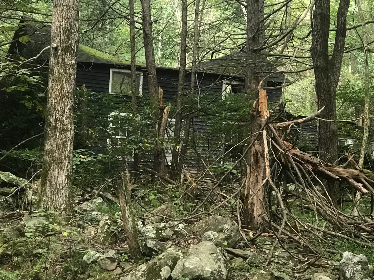 The Abiding Image: A Point of&nbsp;Entry