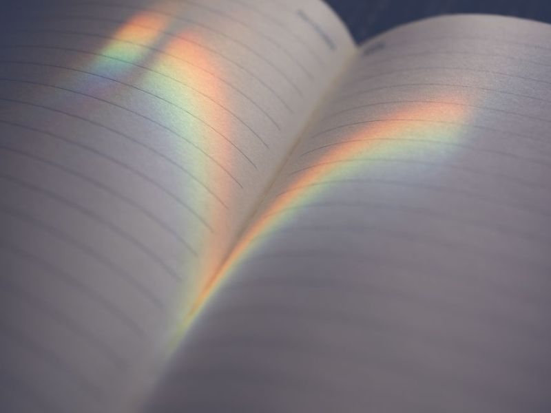PRIDE Cannot be&nbsp;BANNED