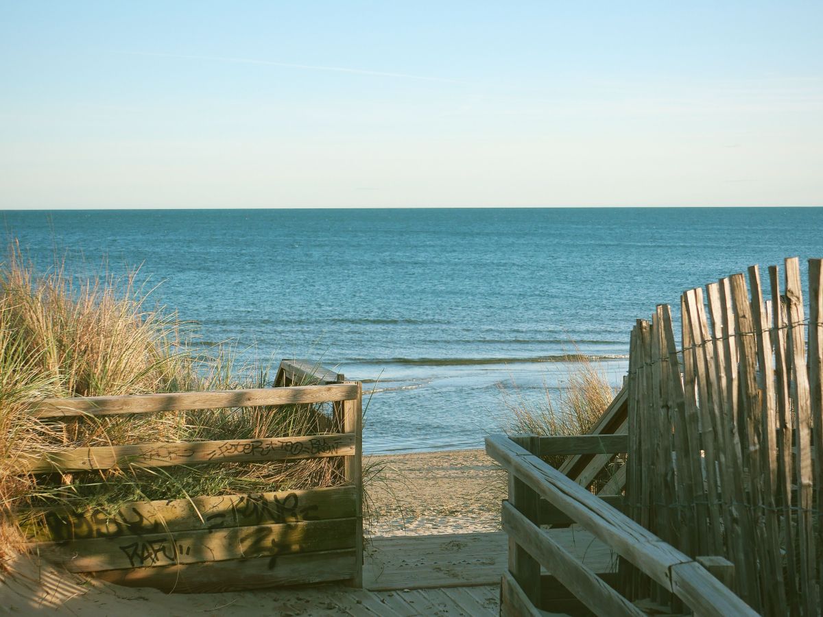 Building a Readership: Five Paths for Poets, Path&nbsp;4.