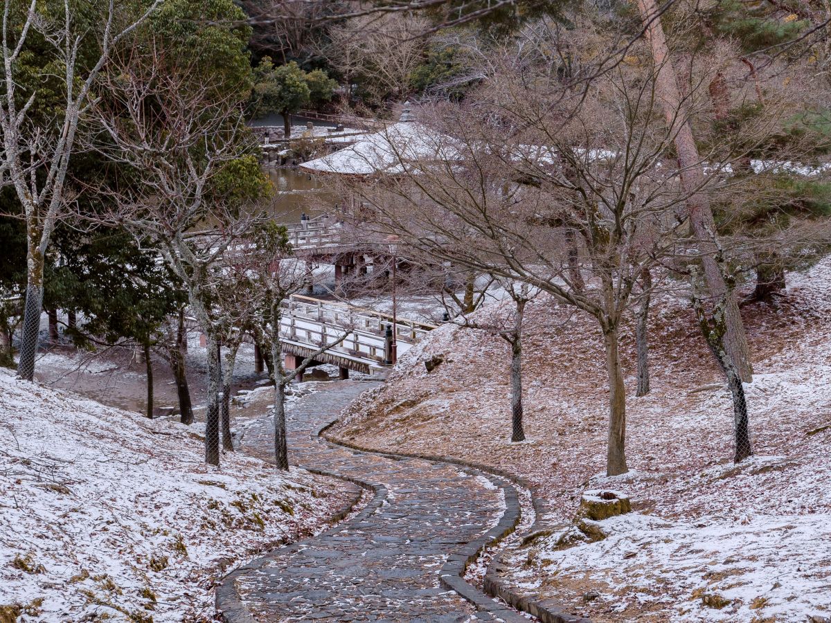 Building a Readership: Five Paths for Poets, Path&nbsp;1.